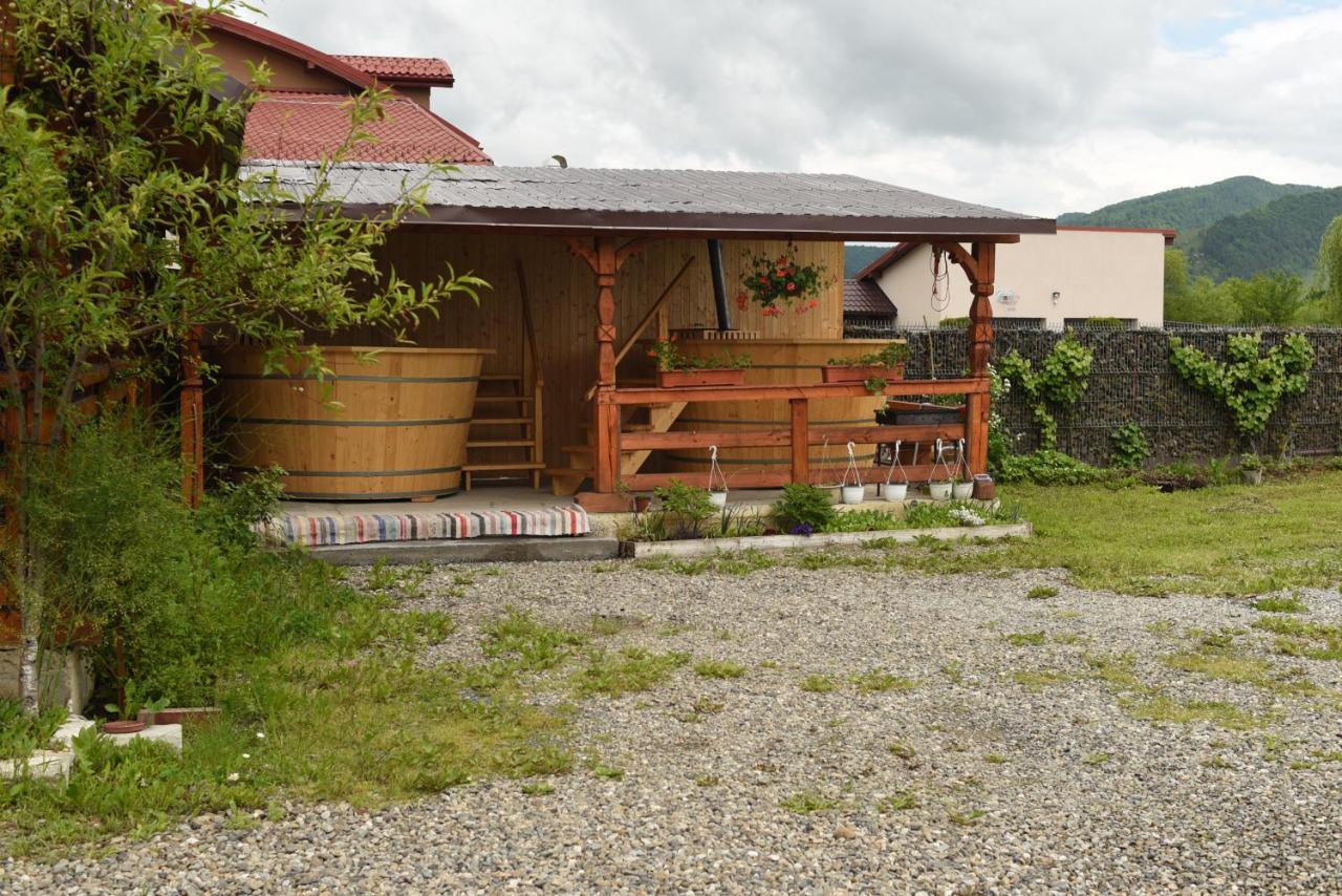 Pension Ioana Lavita Vadu Izei Exterior photo
