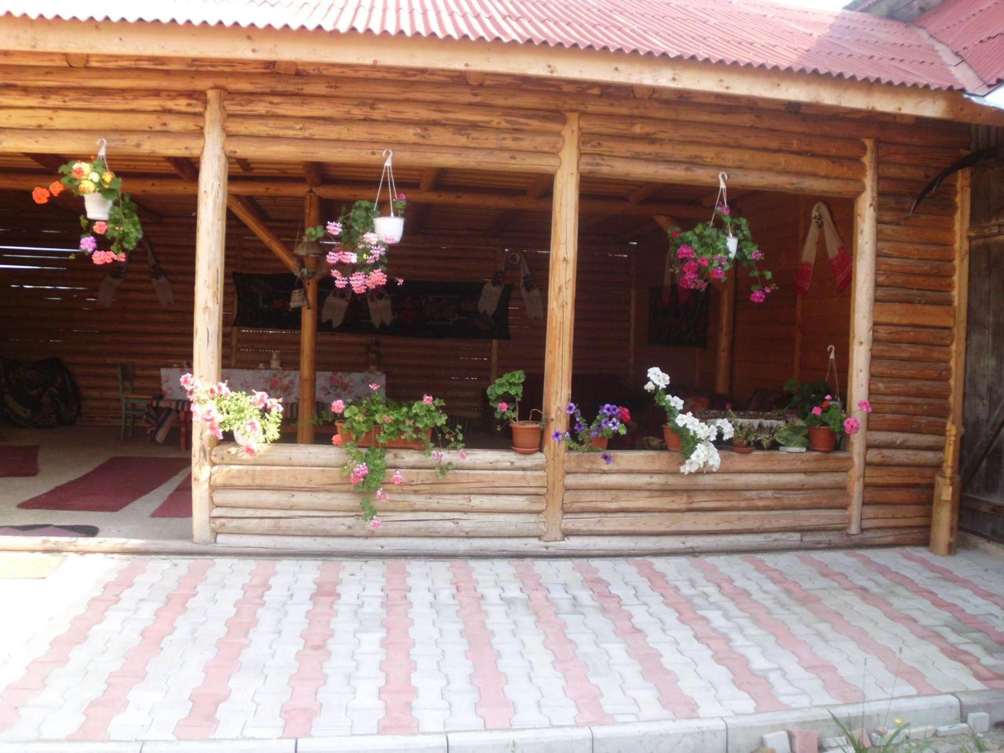 Pension Ioana Lavita Vadu Izei Exterior photo
