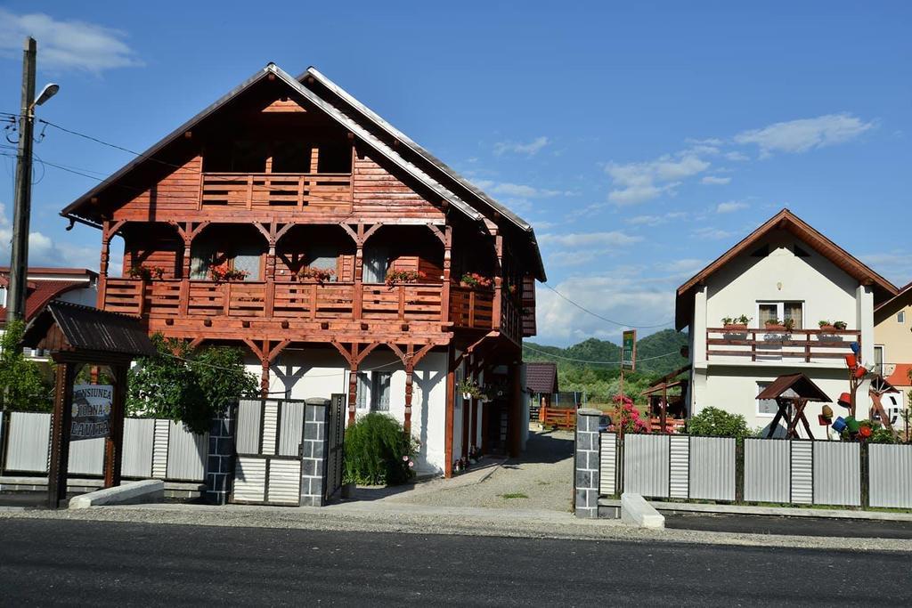 Pension Ioana Lavita Vadu Izei Exterior photo
